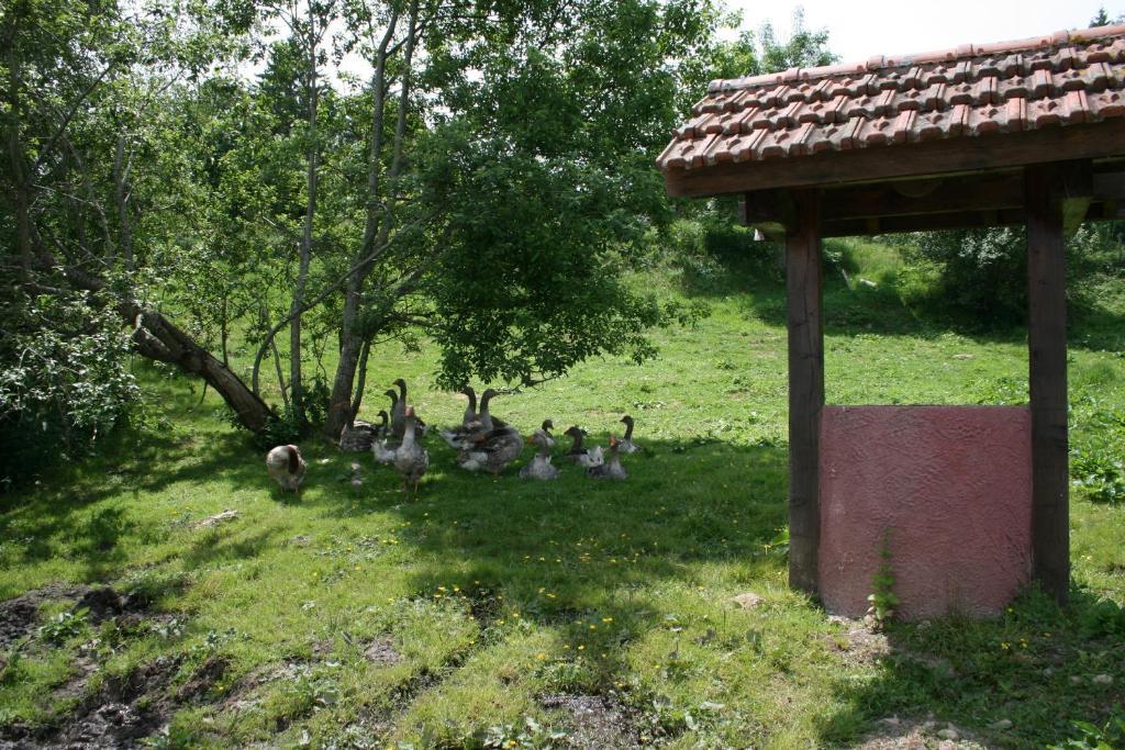 Gites Du Kreuzweg Le Hohwald Ngoại thất bức ảnh