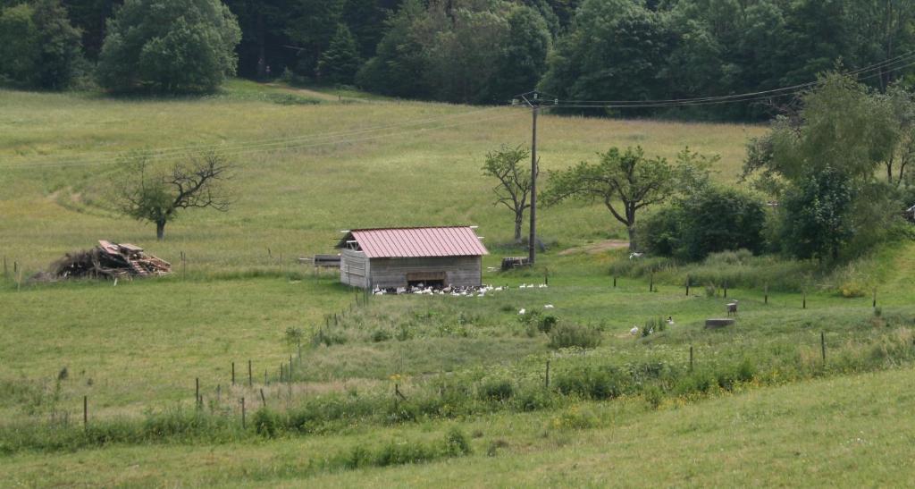 Gites Du Kreuzweg Le Hohwald Ngoại thất bức ảnh